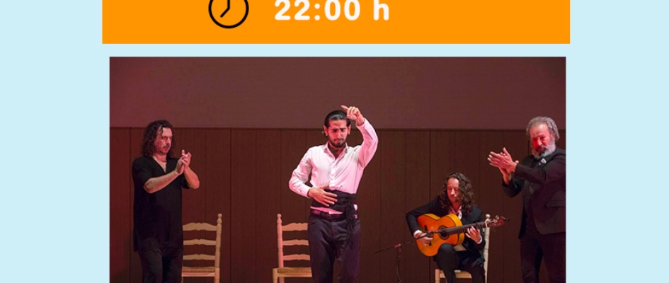 Flamenco1.jpg