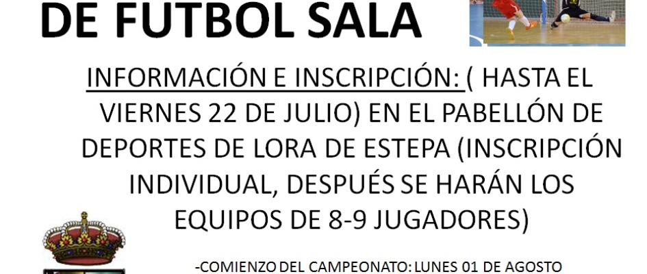LIGA_DE_VERANO_FxTBOL_SALA.jpg